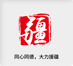 维稳为责，大力援疆